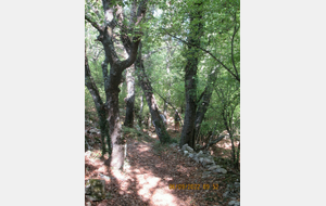 NETTOYAGE ET ENTRETIEN DES SENTIERS JUIN2024