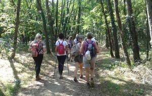 RANDONNEE DOUCE - GRIZ BALADE - VENDREDI (VRD) AOUT 2024 CHESSY LES MINES