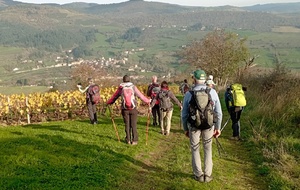 51ème RANDONNEE PEDESTRE DES GRISEMOTTES - DIMANCHE 15 MARS 2026 - UN EVENEMENT A NOTER