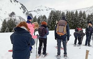 RENCONTRE RAQUETTES - FEVRIER 2027 - NEVACHE en cours d'affichage