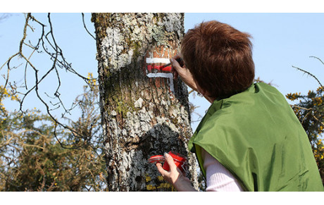 Baliser et entretenir les itinéraires