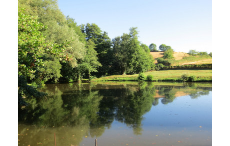 Vous voulez essayer la rando, facilement  ?