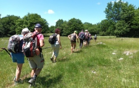 RANDONNEE DES GRISEMOTTES DU DIMANCHE 15 MARS 2026, 1545 RANDONNEURS SUR LES SENTIERS, UN GRAND BRAVO