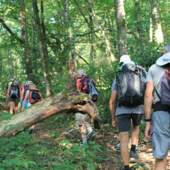 DIMANCHE RANDO 15 NOVEMBRE 2026 - SAINT CLEMENT LES PLACES