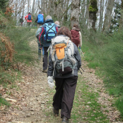 DIMANCHE RANDO SEPTEMBRE 2026 - CHEVINAY