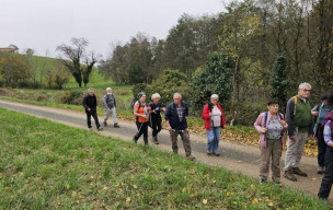 VENDREDI RANDO NOVEMBRE 2025 - THEIZE