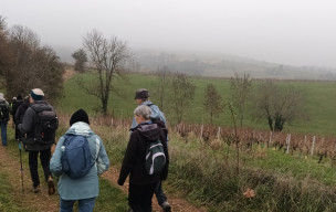 vendredi rando LIERGUES 28 novembre 2025