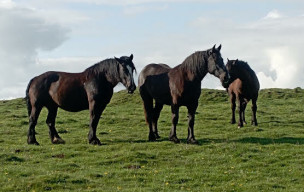 RENCONTRE RANDONNEE STE EULALIE - AVRIL 2026