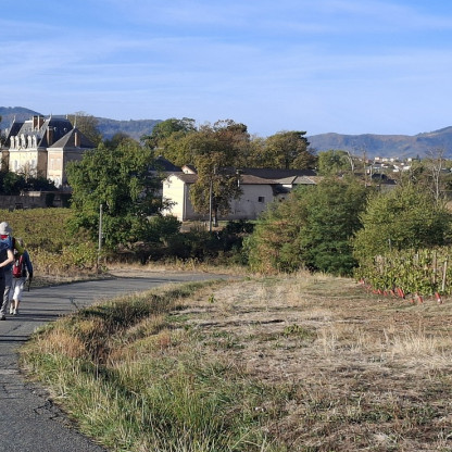 Dimanche rando CHARENTAY - 11 octobre 2026