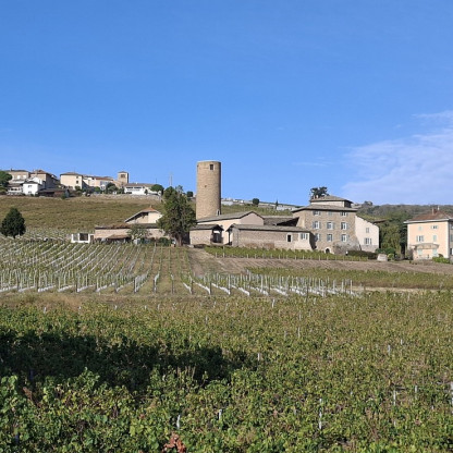 Dimanche rando CHARENTAY - 11 octobre 2026