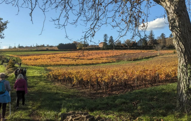 VENDREDI RANDO DOUCE NOVEMBRE 2025 - CHESSY LES MINES